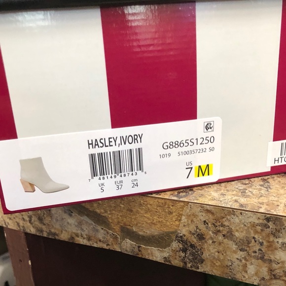 Ankle boots - Picture 6 of 13